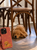 Person holding a phone case with a dog design, lying on the floor under wooden chairs.